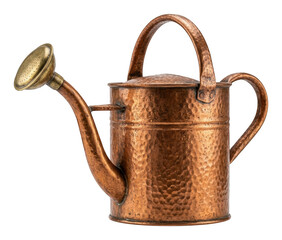 Hammered copper watering can with a rustic patina and brass rose head isolated transparent background image © Neo