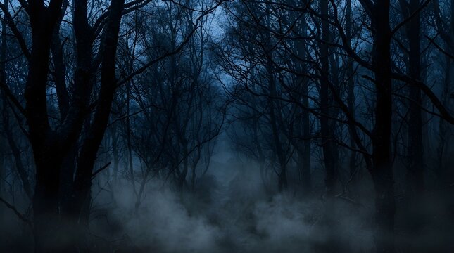 Dark and foggy forest path at night