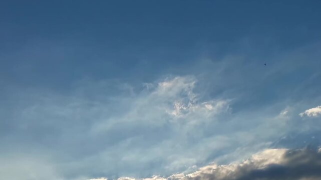Expansive Blue Sky with Scattered Clouds and a Bird Soaring in Daylight