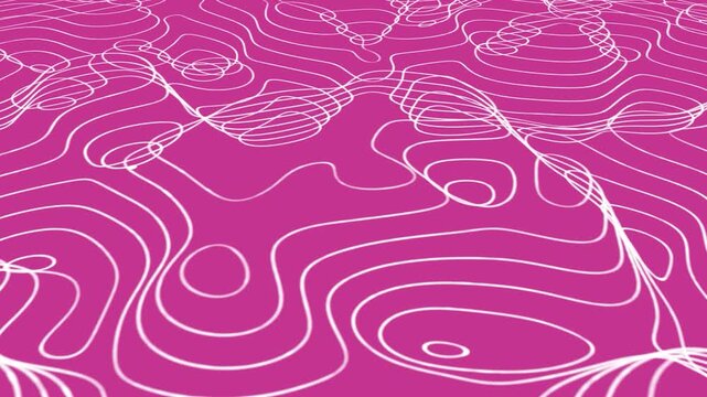 Pink background with white topographic lines, abstract contour map animation, minimalist landscape motion graphic
