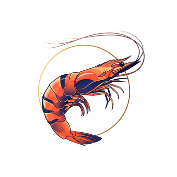 shrimp vector illustration with white background