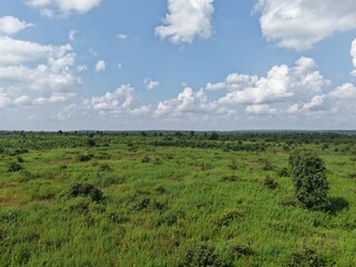 Fototapeta premium Wide elevated view of lush green vegetation and open countryside surrounding an inland water body, beneath a bright blue sky filled with large white clouds and a distant tree-covered horizon.