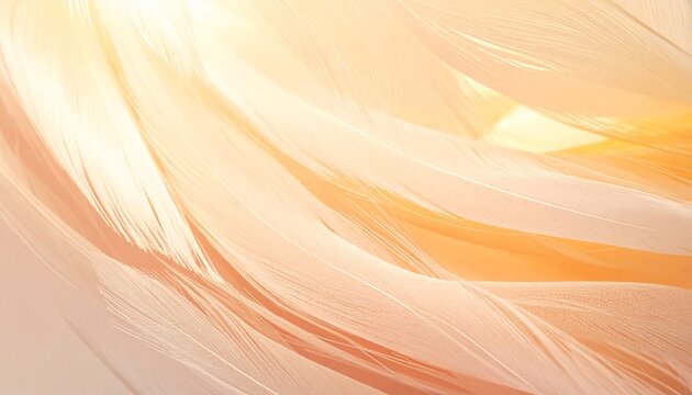 Abstract soft feather background with warm golden light, gentle flowing curves, creamy white and peach tones for elegant wallpaper or design