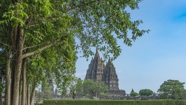 A beautiful majestic ancient temple against the blue sky. Tall towers with stone carvings and bas-reliefs. Tree branches in the foreground. Hindu architecture. Indonesia. Yogyakarta. Candi Prambanan