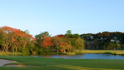 Fototapeta premium Lush Tropical Golf Course with Water Hazard and Flowering Trees