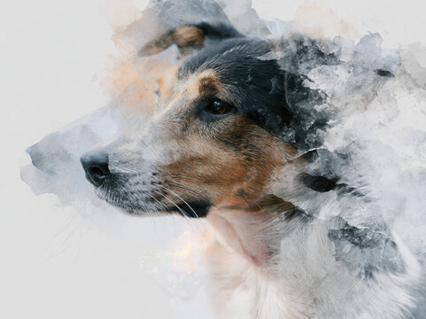 Sketch composite 3D photo collage of a dog, mixed media artwork, pencil sketch combined with realistic fur textures, layered paper cutout effect, modern digital art style, cinematic lighting