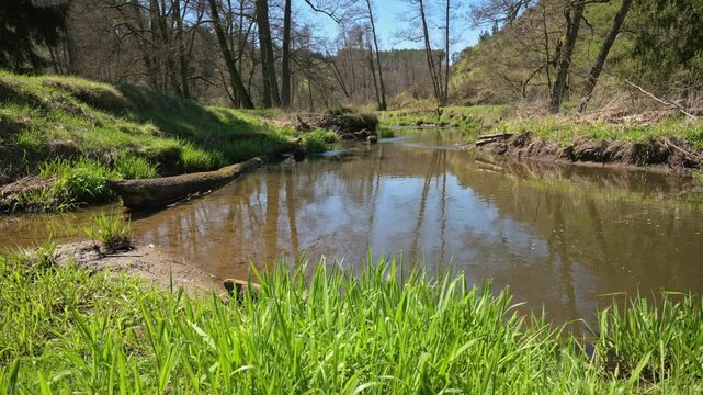 relaxing view on a flowing creek with nature sounds