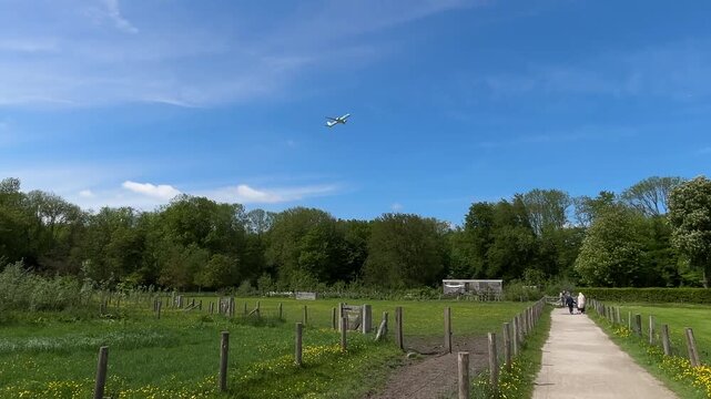 Aircraft flying over Amsterdam Forest park near Schiphol Airport, Netherlands Aircraft flying over Amsterdam Forest