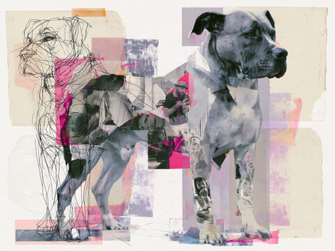 Sketch composite 3D photo collage of a dog, mixed media artwork, pencil sketch combined with realistic fur textures, layered paper cutout effect, modern digital art style, cinematic lighting