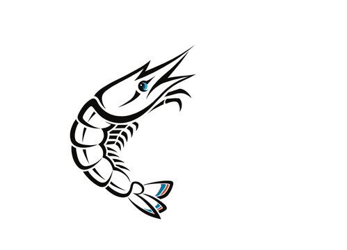 vector image of a shrimp