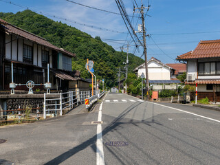 鳥取県八頭郡八頭町を通る国道沿いの風景 © しょこまろん