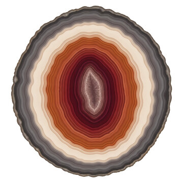 Bold Flat Vector Illustration of Agate Slice with Earthy Tones