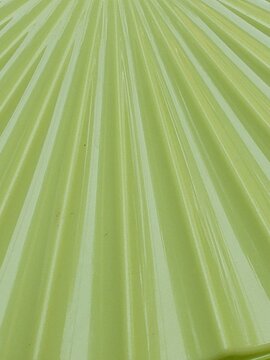 green rays background