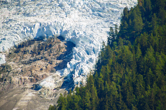 Majestic Mountain Glacier and Alpine Pine Forest Landscape, Argentiere Glacier, Chamonix in France
