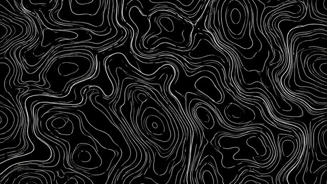 Features a striking, abstract black background covered in flowing, organic white topographic contours that mimic natural map lines.