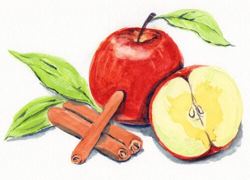 Hand-drawn watercolor illustration of red apples and cinnamon sticks / 手描きの水彩画 りんごとシナモンスティックのイラスト