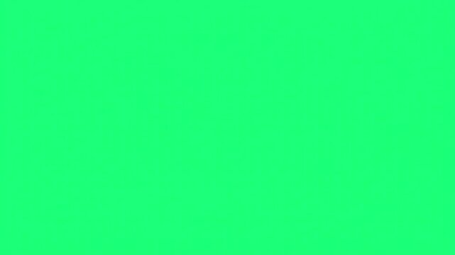Realistic flying blue hummingbird on green screen background.	
