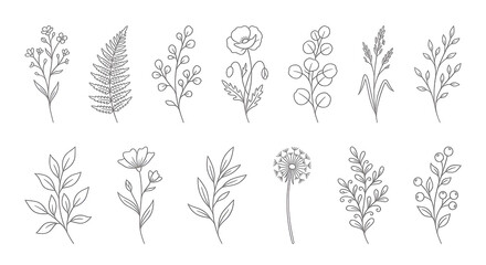 Fototapeta premium Minimalist Floral Elements on White