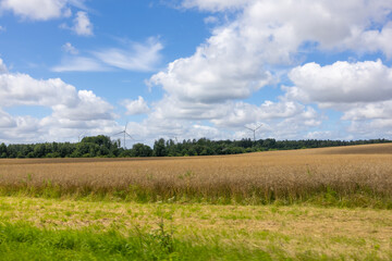 Obraz premium Wide View of Golden Wheat Field and Wind Turbines Under Dramatic Summer Clouds. Wide scenic view across a vast golden wheat field with green grass in the foreground and wind turbines stretching along 