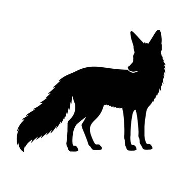 fox vector illustration