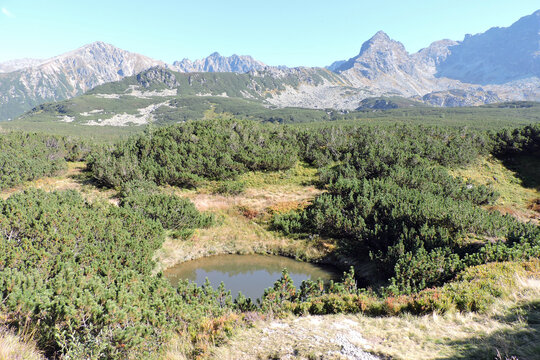Wide panorama of Dolina Zielona Gąsienicowa valley with Litworowy Staw tarn and Koscielec peak in Tatra Mountains, Poland