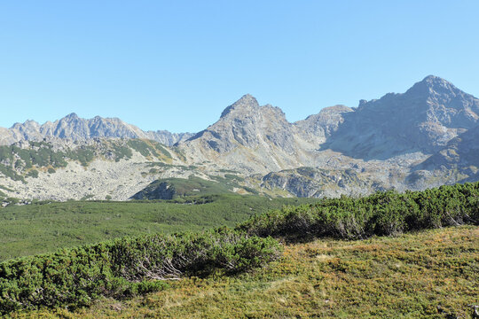 Panorama of Dolina Zielona Gąsienicowa valley with Koscielec and Swinica peaks in Tatra Mountains in September, Poland