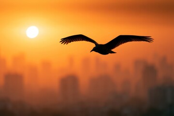 Naklejka premium Tranquil dawn with flying bird silhouette and city