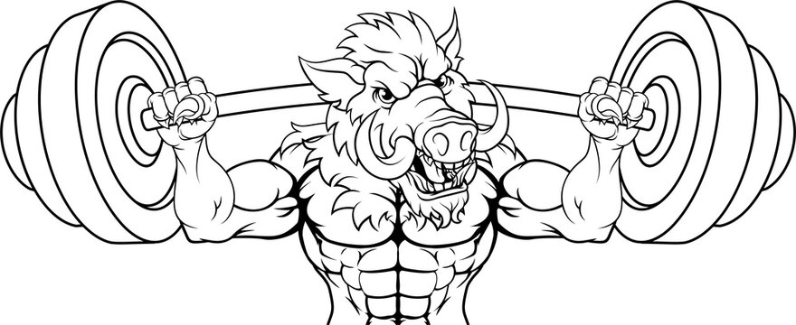 A boar razorback hog weight lifting gym animal sports mascot lifting a barbell