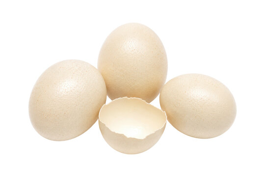 Ostrich eggs with a cracked empty eggshell isolated on a clean white background, showcasing natural shell texture and large egg size for food, farming, and culinary concepts.
