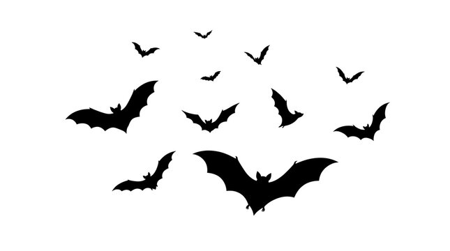 Set of black bats silhouettes isolated on white background