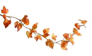 Fototapeta premium PNG Autumn leaf garland isolated on transparent background