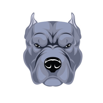 Grey pitbull dog head vector illustration strong dog mascot design