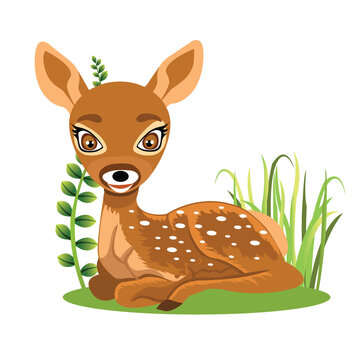 Cute cartoon fawn deer lying in green grass vector 