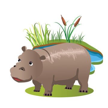 Cute cartoon hippopotamus standing near lake water with reeds vector