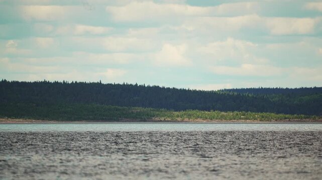 cloud shadows moving across the forest and the rocky seashore, time-lapse video