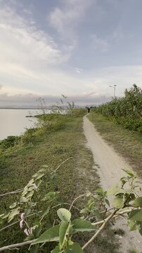 Slow Motion of Man Jogging on a Trail by the Lake