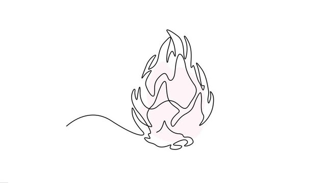 Dragon Fruit Continuous Line Art Animation Loop Video.
