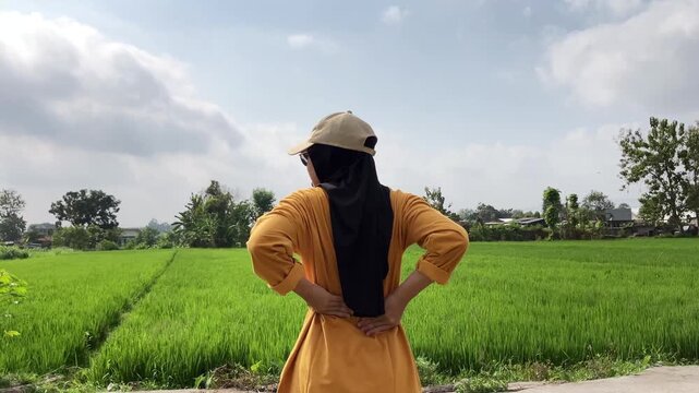 Rear view of a Muslim woman wearing a hijab and cap massaging her lower back or waist. She is standing outdoors by a beautiful lush green rice paddy field. Healthcare and back pain concept.
