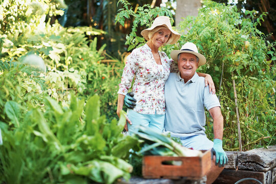 Hug, gardening and portrait of senior couple outdoor with bonding, love and connection in marriage. Happy, retirement and elderly man with woman by plants for horticulture, landscaping or botany.