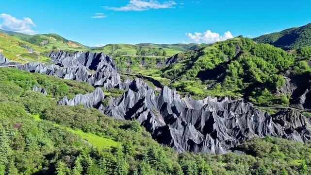 Aerial view of the black stone forest in Moshi Park surrounded by green grasslands in Garze, Sichuan, China