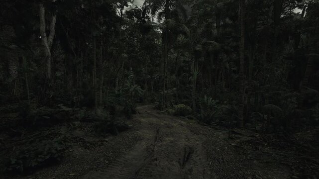 Rugged logging road carved through rainforest, compacted tire tracks and churned mud, industrial edge meeting wild nature, useful for environmental impact,