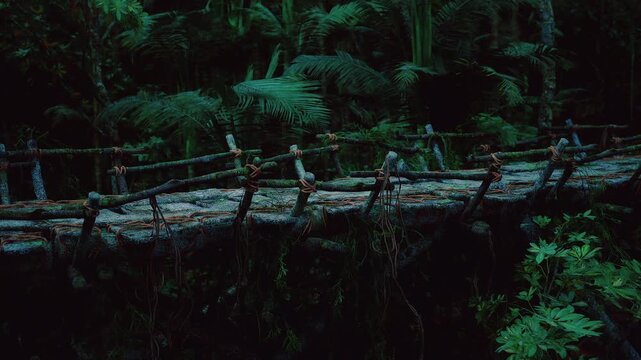 Secluded log bridge framed by ferns and moss, intimate passage evoking romantic elopement or vow exchange, soft secluded light and rustic atmosphere ideal