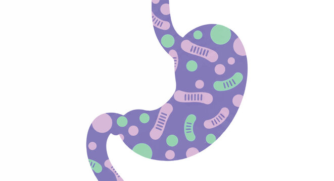 Abstract human stomach silhouette filled with floating colorful probiotic spheres and beneficial bacteria shapes, soft lavender and mint green palette, medical wellness graphic, minimalist flat