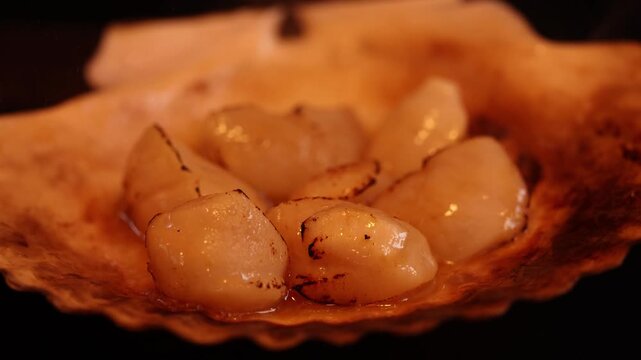 Fresh Japanese Scallops Grilling in Shell with Open Flame