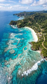 Tropical coral coastline