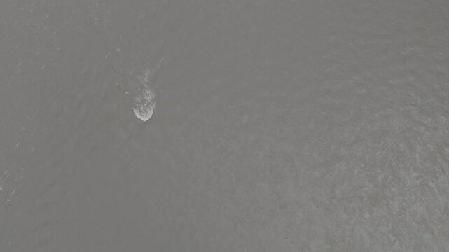 4K Drone Close-Up of Turbulent Surface Currents in a Fast-Moving Muddy River