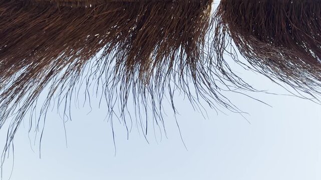 Beach bar roof decorated with dried palm branches, creating a natural tropical thatched roof design. Rustic seaside architecture with palm leaf decoration and a relaxed holiday atmosphere. High