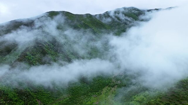 Aerial view of the summer landscape in Shuangqiao Valley Scenic Area of Mount Siguniang, Aba Prefecture, Sichuan, China, with mist-shrouded mountains