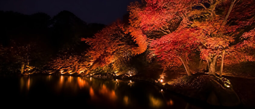紅葉ライトアップと水面反射の横長背景