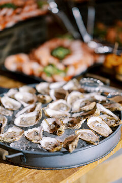 Fresh oysters on ice served on tray at seafood buffet